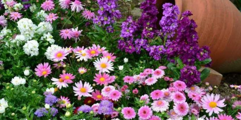 Správné terénní úpravy dvora vlastními rukama - 110 fotografií nejlepších moderních nápadů a nuancí zdobení území rostlinami